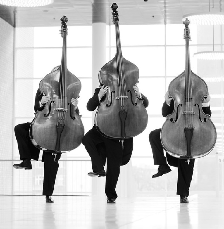 Trois contrebassistes cachés derrière leurs instruments